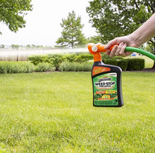 Load image into Gallery viewer, Spectracide Weed Stop For Lawns Plus Crabgrass Killer Concentrate