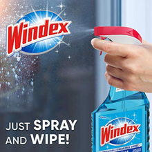 Load image into Gallery viewer, Windex Glass Cleaner Trigger Bottle 23 fl oz